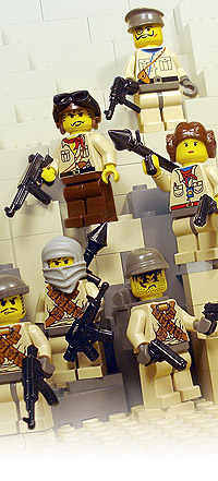 Modern combatants
