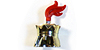 a shining golden crown
